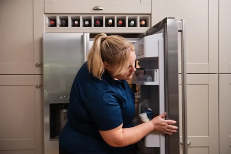 Refrigerator Repair for Temperature Sensor Fault