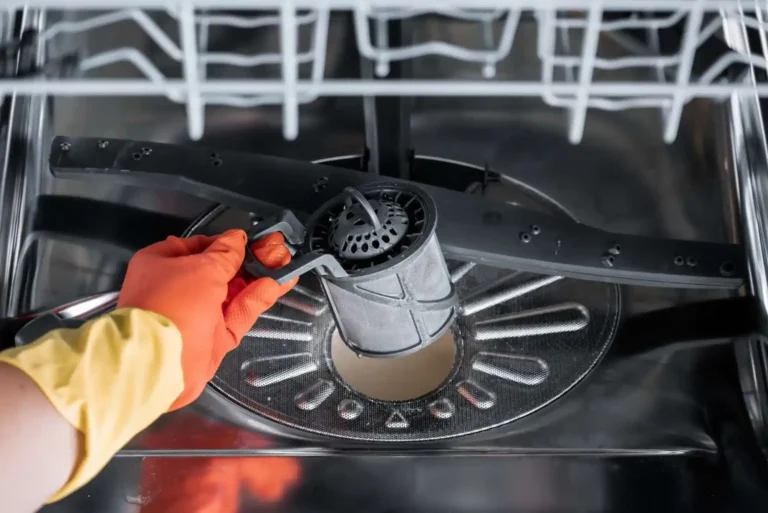Dishwasher Filter Cleaning